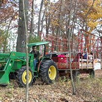 Hikes and Hayrides