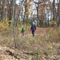 Hikes and Hayrides
