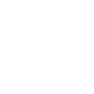 What Works Cities Silver 2023
