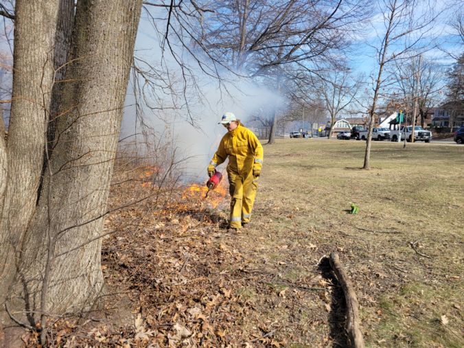 trained staff light fire in prescribed burn