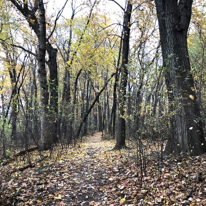 park trail in fall