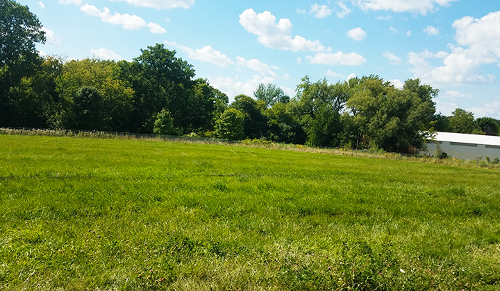 An open green field signifying a park.