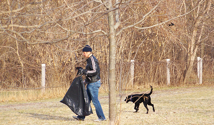 A person carrying a black trash back and walking with their dog in a park performing cleanup tasks.