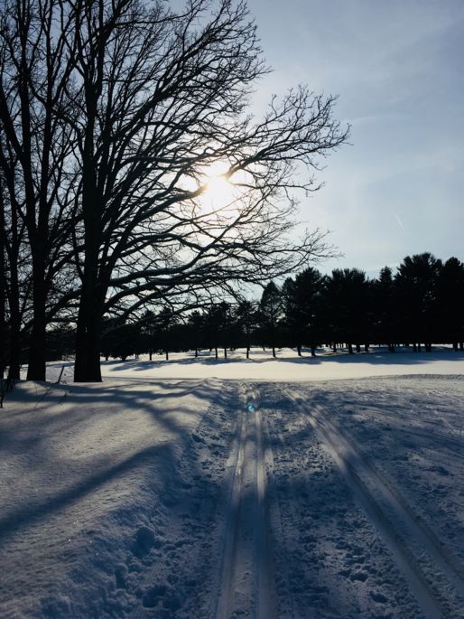 Door Creek Park Madison Parks City Of Madison Wisconsin