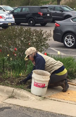 Gardening Volunteer