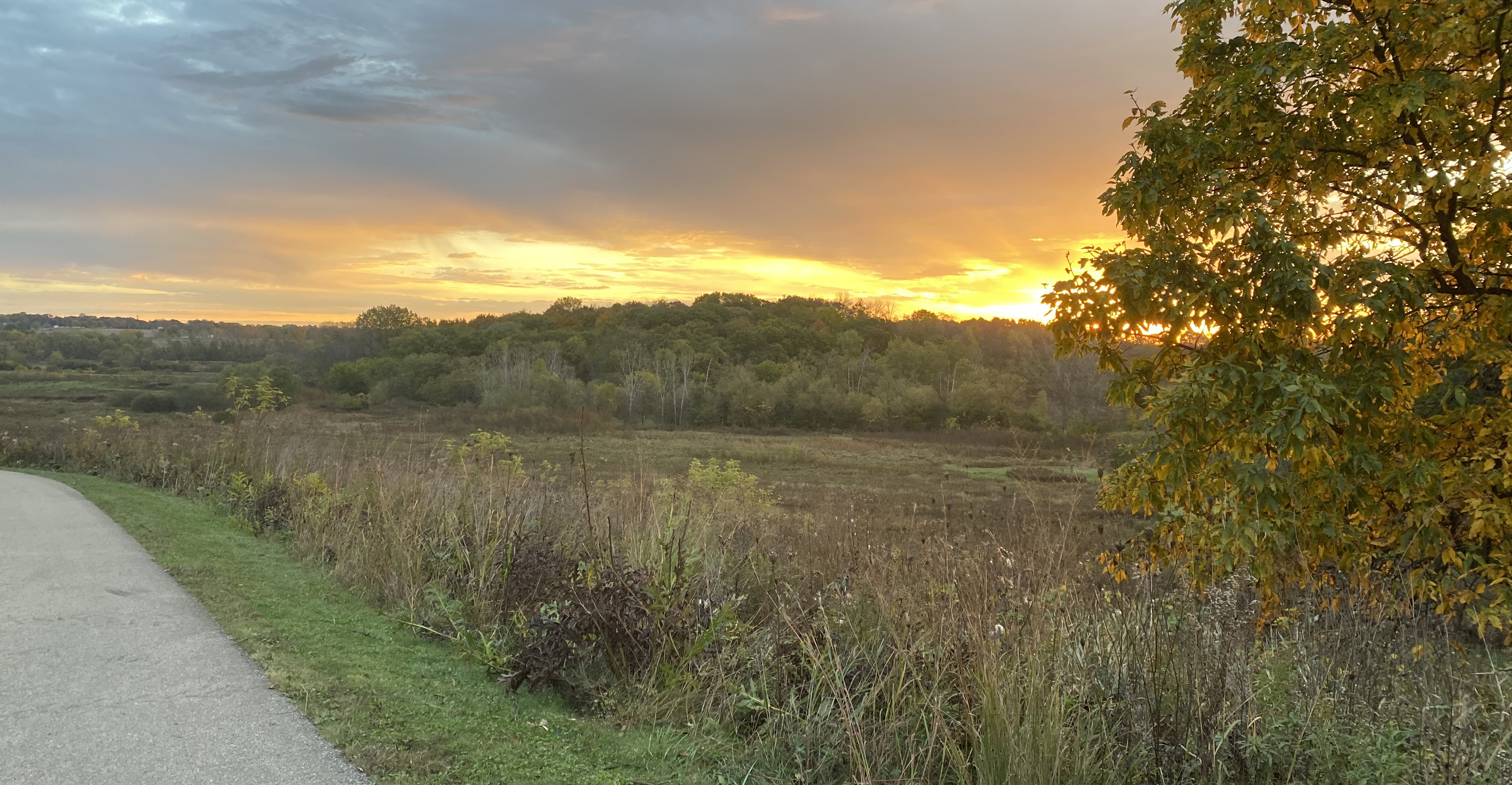 sunrise with park path