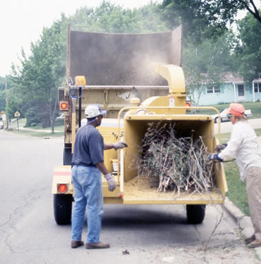 Brush collection in the 1990s